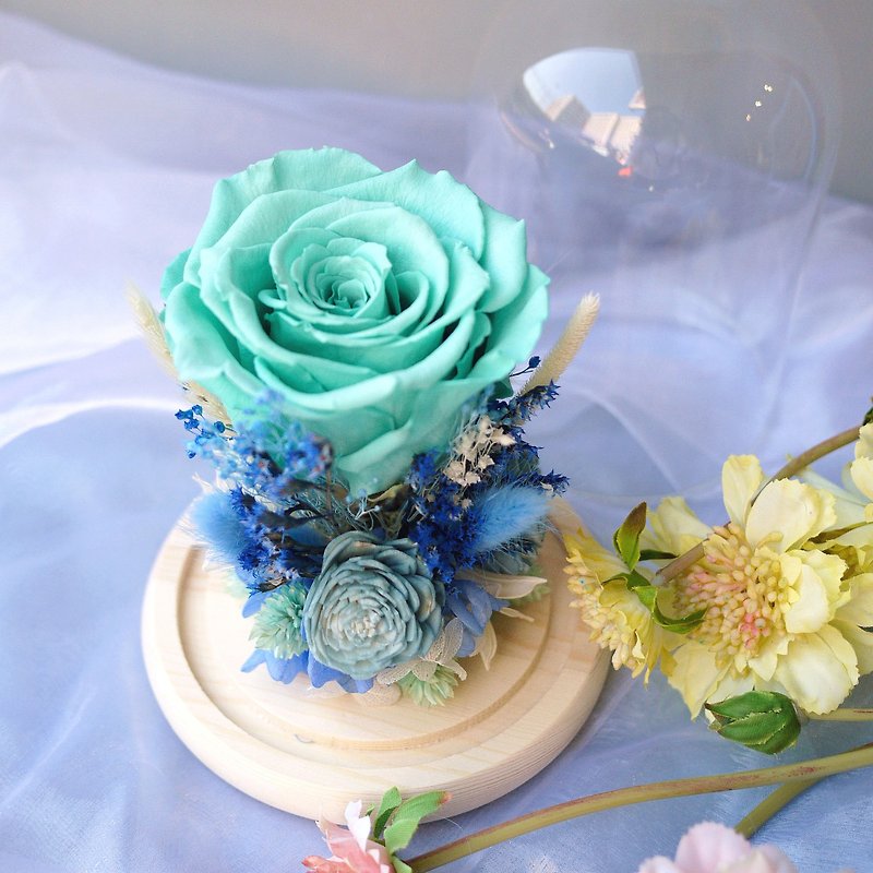 魔法不凋蒂芬妮玫瑰 玻璃罩永生花 恒星花 情人节 - 干燥花/捧花 - 植物．花 蓝色