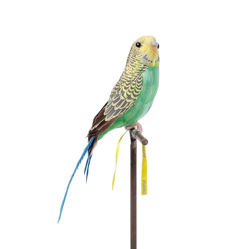 ARTIFICIAL BIRDS Budgie Green 手作动物造型摆饰 - 绿鹦鹉 - 摆饰 - 其他材质 绿色