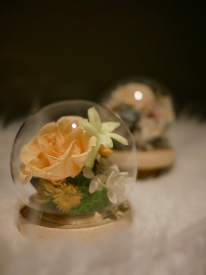 橘色系永生花玻璃罩 玻璃盅 水晶球 毕业礼物 干燥花 - 干燥花/捧花 - 玻璃 橘色