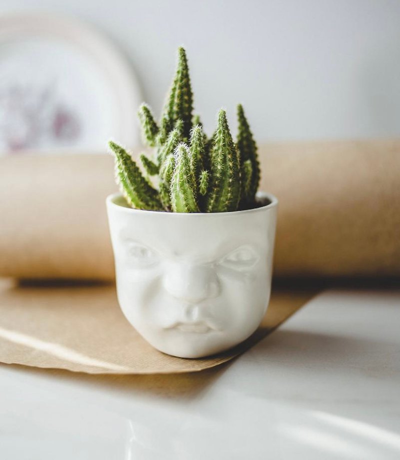 Grumpy planter 可爱表情陶瓷器皿 - 花瓶/陶器 - 瓷 白色