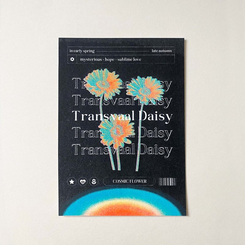 宇宙小花 Transvaal Daisy非洲菊款 孔版印刷 酷卡 明信片 - 卡片/明信片 - 纸 