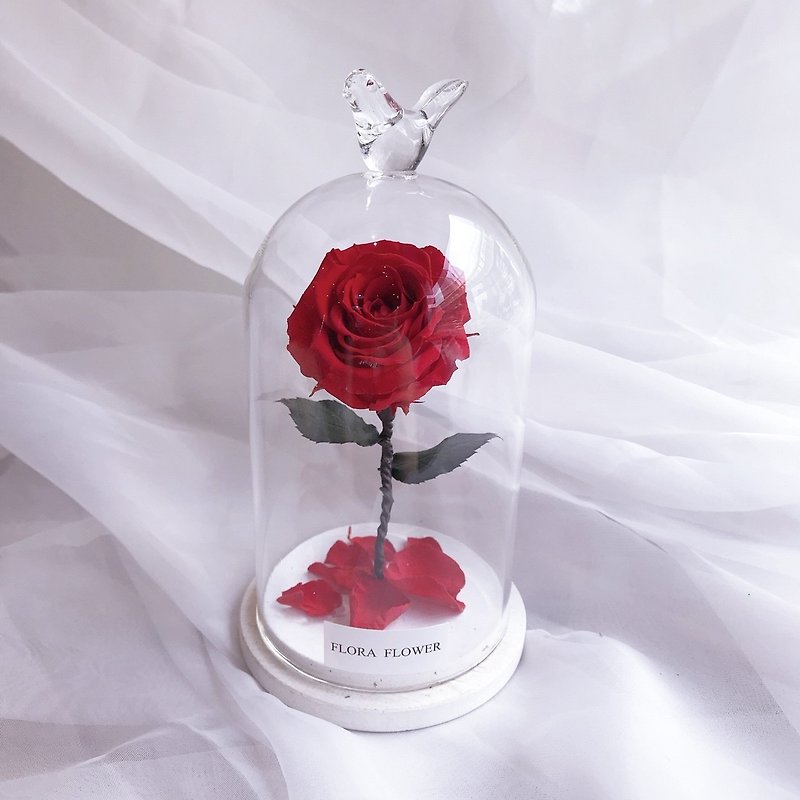 (鲜红色)小王子永生花玻璃罩   毕业礼物/永生花 - 摆饰 - 植物．花 红色