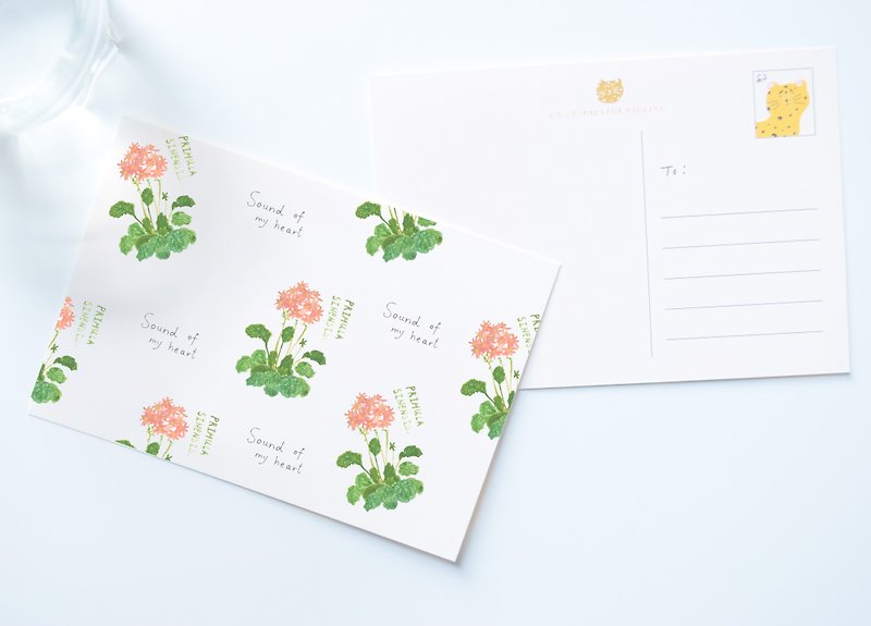 花园系列－粉红樱草 明信片／三送一 - 卡片/明信片 - 纸 多色