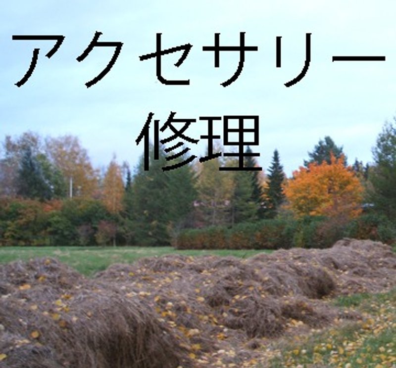 A様オーダーページ - 发饰 - 其他材质 