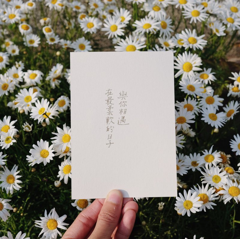 很愿意的人。在最柔软的日子与你相遇 文字明信片 青青的岛 - 卡片/明信片 - 纸 