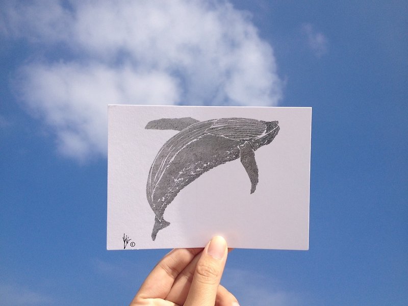 动物/ 座头鲸/  手绘 /卡片 明信片 - 卡片/明信片 - 纸 