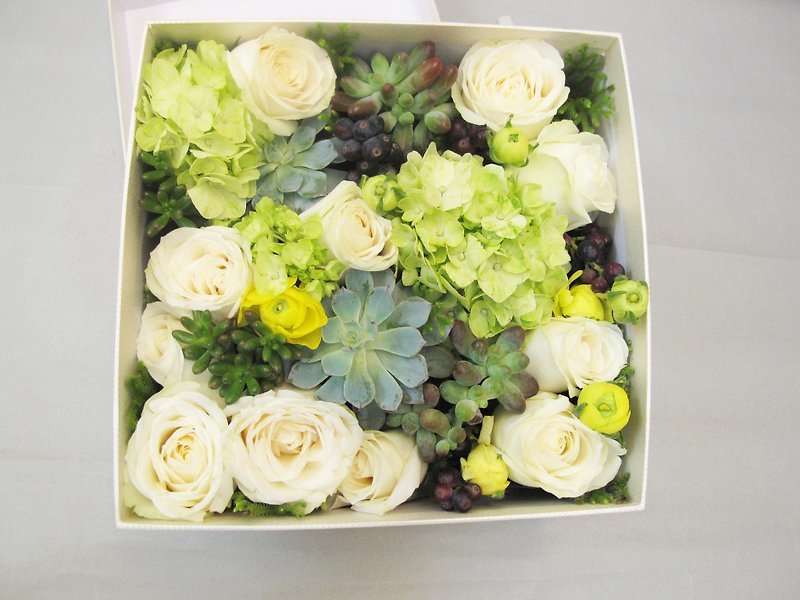 花盒子-绿的纯粹 - 植栽/盆栽 - 植物．花 黄色
