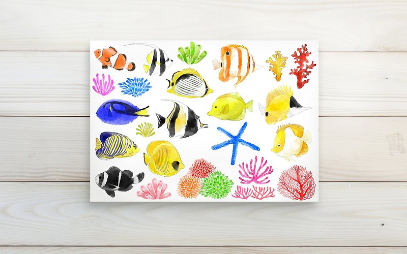 大堡礁 热带鱼图鉴/明信片postcard - 卡片/明信片 - 纸 