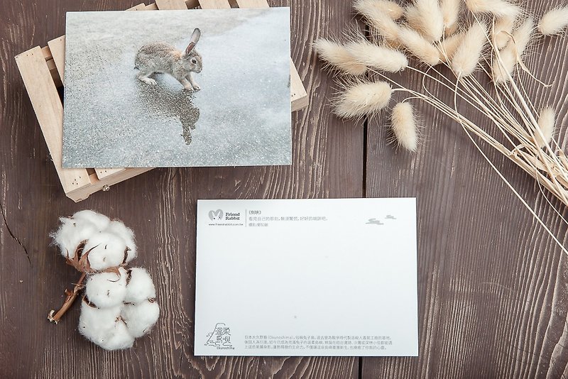 兔子摄影明信片- 倒映 - 卡片/明信片 - 纸 灰色