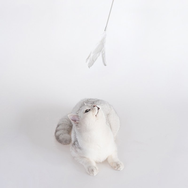 pidan逗猫棒猫玩具手持软胶逗猫棒羽毛-白色 - 碗/碗架 - 木头 白色