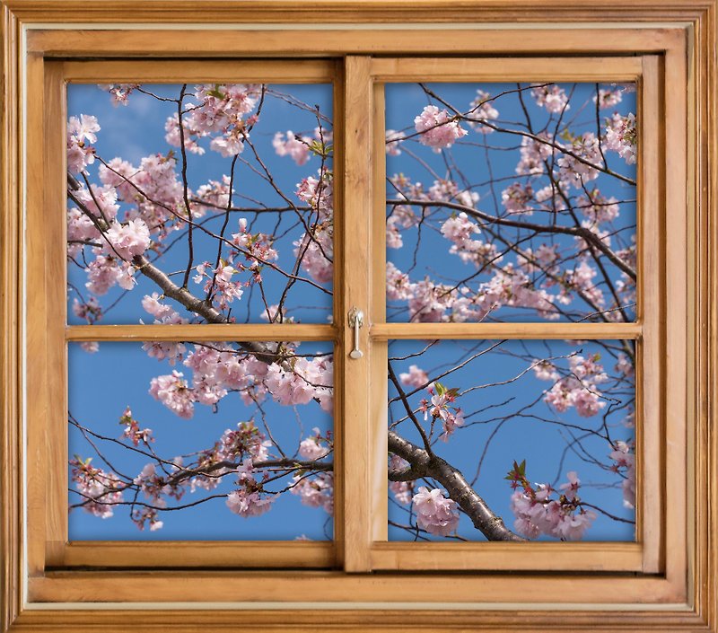 摄影/ 为自己开一扇有植物的窗 / 樱花树下 - 海报/装饰画/版画 - 纸 粉红色