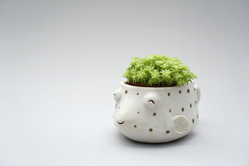 Puffer pot , Puffer plant pot , Handmade ceramics , pottery  - 花瓶/陶器 - 陶 黄色