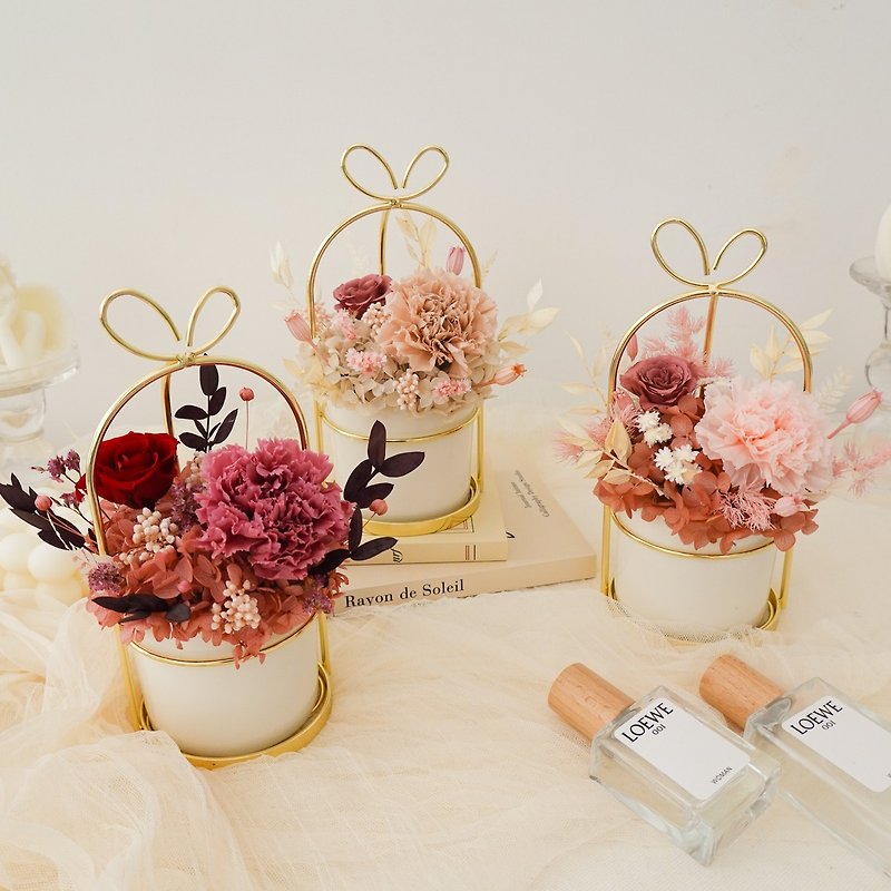 【母亲节礼物】永生康乃馨提把盆花 - 干燥花/捧花 - 植物．花 粉红色