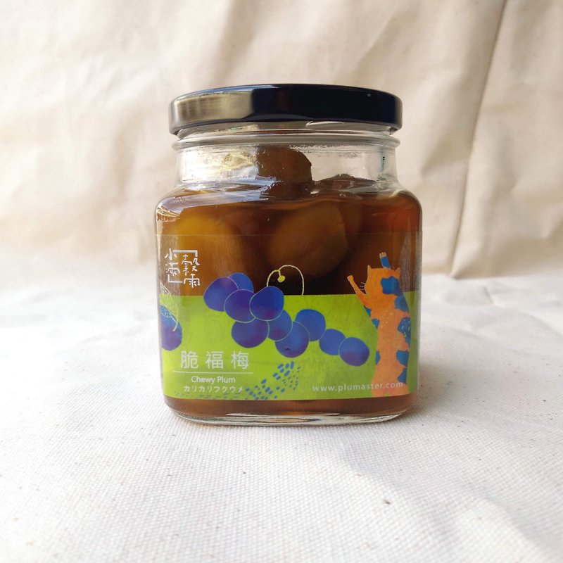 台南-手工酿梅子－脆福梅-裸瓶- - 其他 - 新鲜食材 绿色