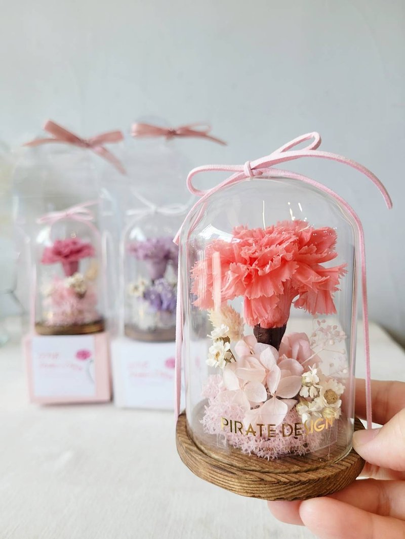 海藏设计│永恒的爱。永生康乃馨 玻璃盅+精美提盒+卡片  母亲节 - 干燥花/捧花 - 植物．花 粉红色