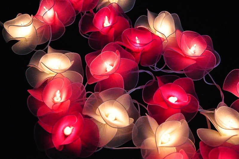 20 Pink tone Flower String Lights for Home Decoration Weddind Part Bedroo Patio and Decoration - 灯具/灯饰 - 其他材质 