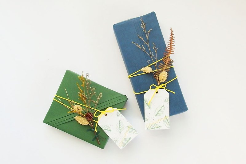 升级包装 - 植觉系圣诞 - 冷杉绿 / 冬夜蓝 - 纸盒/包装盒 - 纸 绿色