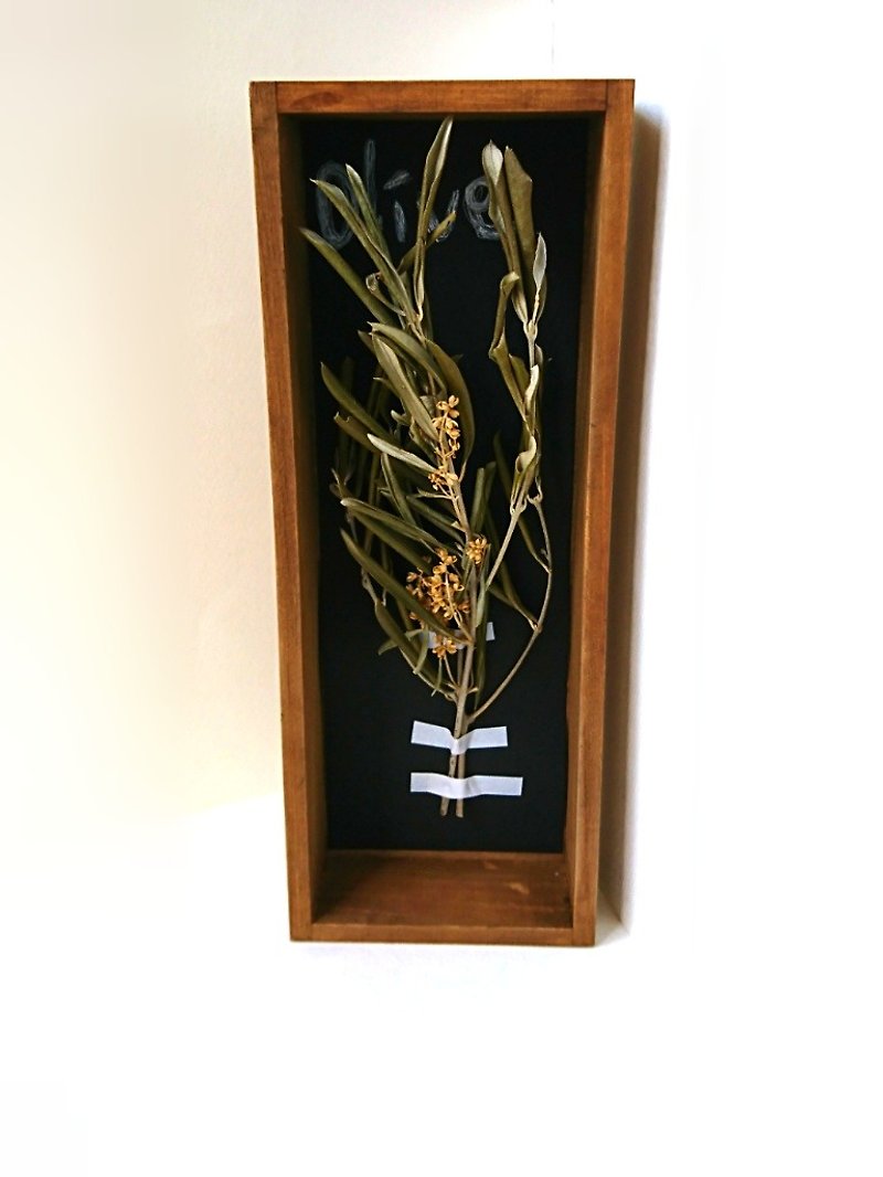 植物標本 ボックス ドライフラワー (オリーブversion.) - 墙贴/壁贴 - 木头 绿色