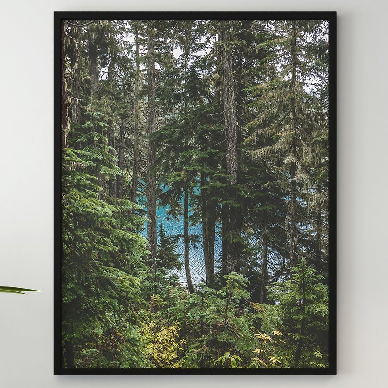 蓝湖森林绿色灌木丛树木自然野生丛林夏季温暖旅行 - 海报/装饰画/版画 - 纸 