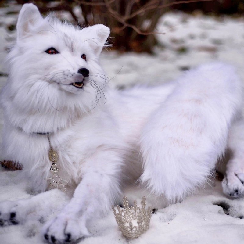 The White Fox - 玩偶/公仔 - 其他材质 白色