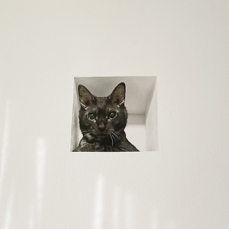 妄想マッピングステッカー / 壁からネコ / 黒猫 - 墙贴/壁贴 - 纸 白色