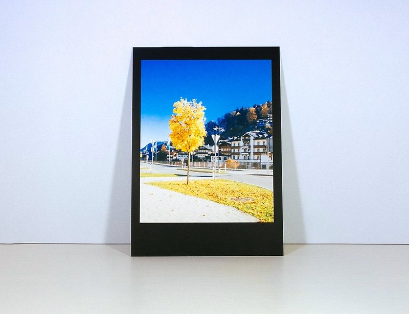 摄影明信片 | 宁静的风景和金黄色的路树-贝希特斯加登的拉姆绍-贝希特斯加登郡的秋天-巴伐利亚-德国 - 卡片/明信片 - 纸 多色