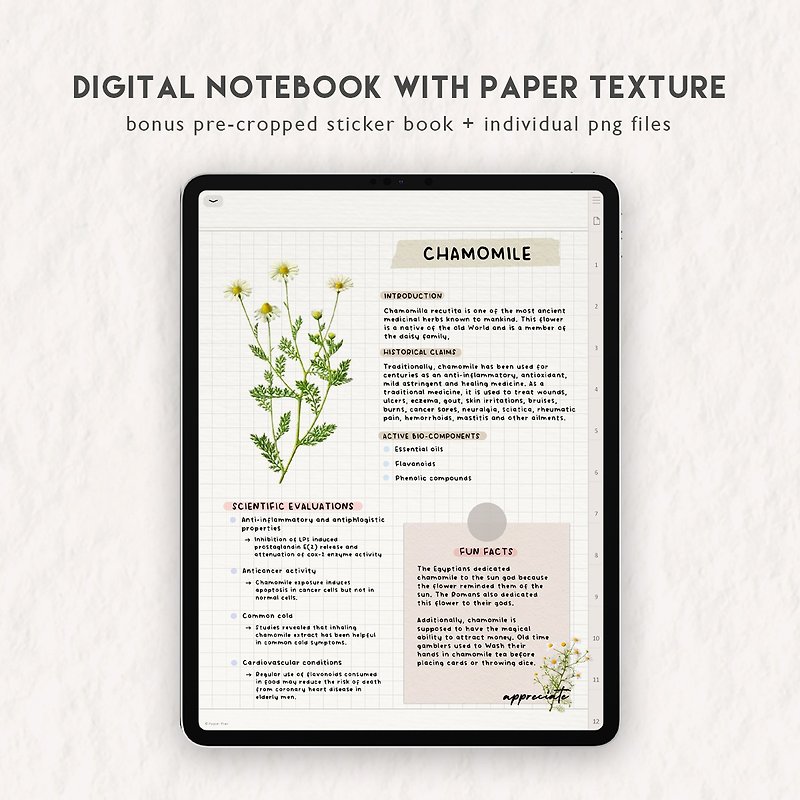 Digital Paper Texture Notebook for GoodNotes Notability Samsung Notes iPad - 电子手帐及素材 - 其他材质 