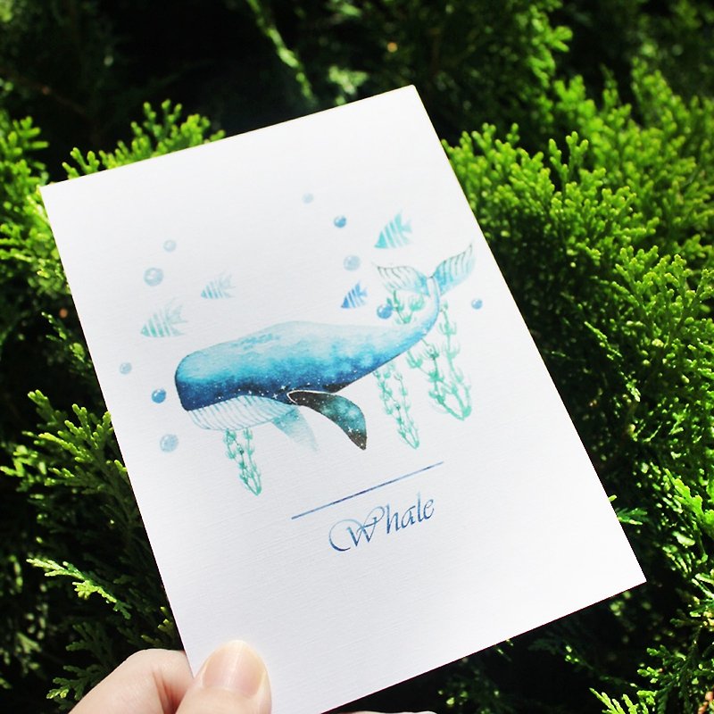 彩鲸明信片   方方 - 卡片/明信片 - 纸 蓝色