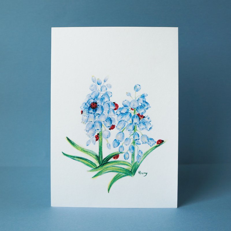 明信片 春天的葡萄风信子与瓢虫们 - 卡片/明信片 - 纸 蓝色