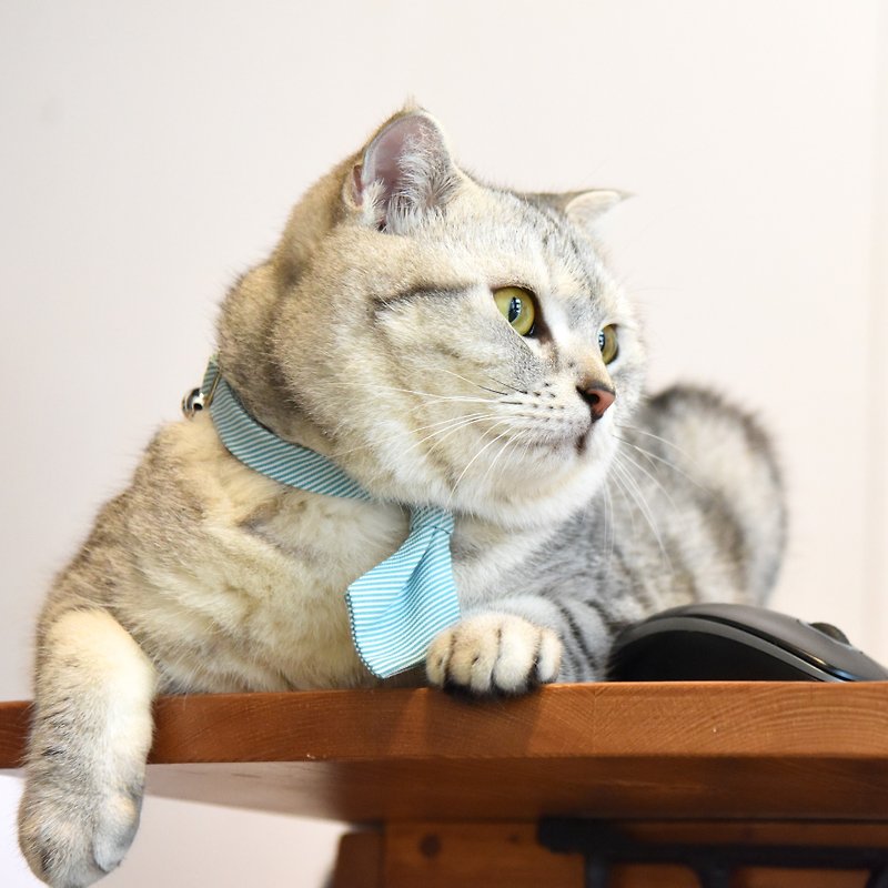 猫咪兔子宠物领带-不含项圈【ZAZAZOO】 - 项圈/牵绳 - 棉．麻 多色