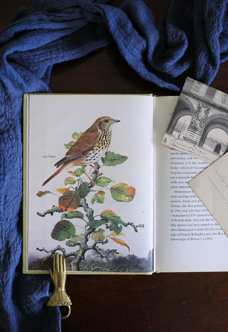 英国1969s【莎士比亚之鸟】鸟类 复古老书 - 刊物/书籍 - 纸 白色