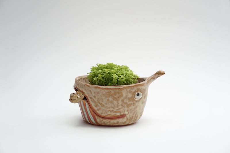 Whale pot , Whale plant pot , Handmade ceramics , pottery  - 植栽/盆栽 - 陶 卡其色