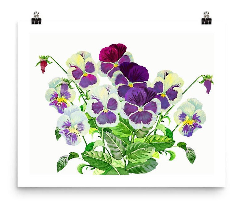 Bouquet with Claret Blue Pansies, Watercolor Flowers for Gift - 海报/装饰画/版画 - 纸 紫色