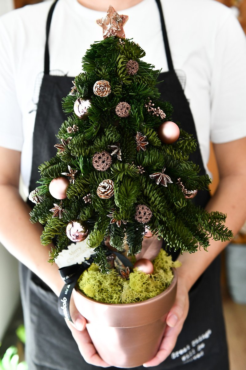 Christmas Tree│不凋圣诞树盆栽礼物 - Olive1230 专属定制订单 - 植栽/盆栽 - 植物．花 