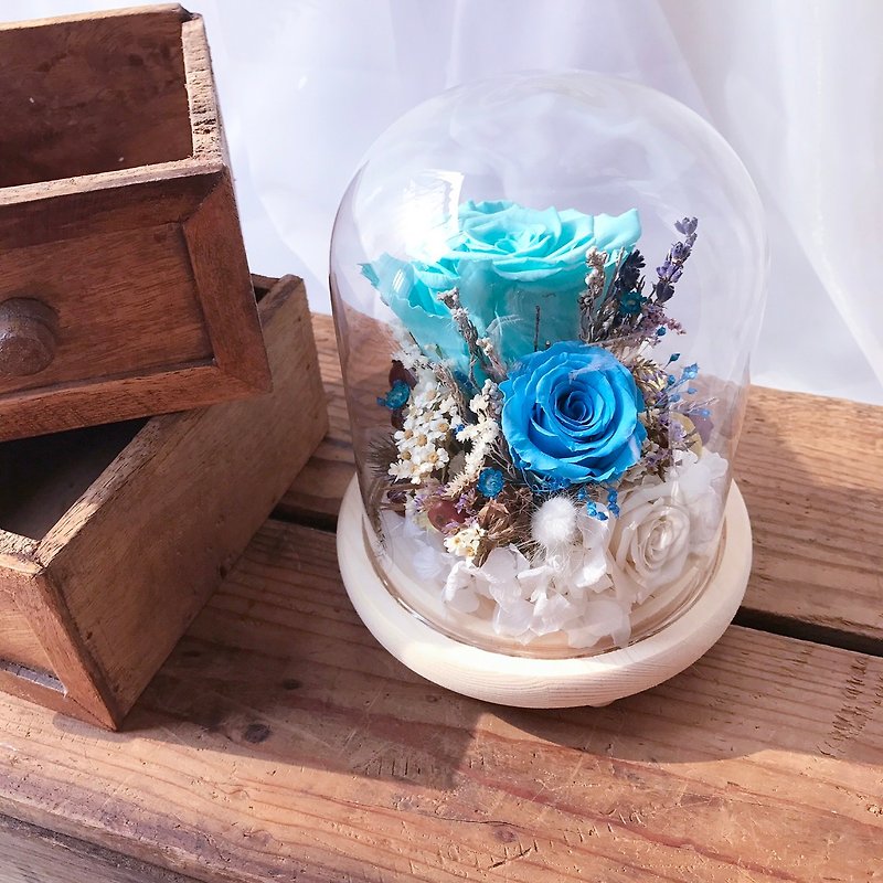 海洋夜灯款 - 婚礼小物 / FLOWER / 蒂芬尼玫瑰 / 结婚礼物 - 植栽/盆栽 - 植物．花 蓝色