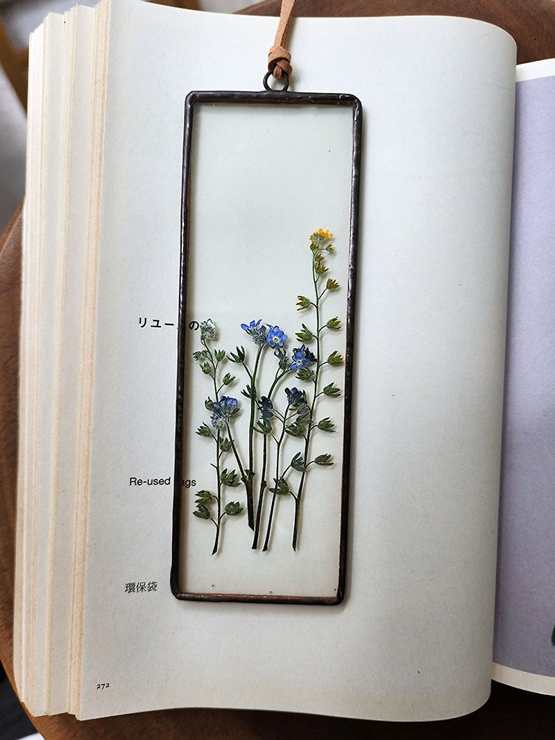 植物图鉴∣勿忘草∣玻璃镶嵌∣花草标本 - 干燥花/捧花 - 植物．花 蓝色