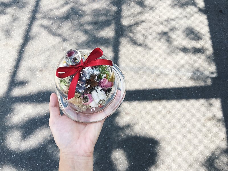 【好花】圣诞松果玻璃花盅  干燥花礼 交换礼物附圣诞包装 - 植栽/盆栽 - 植物．花 红色