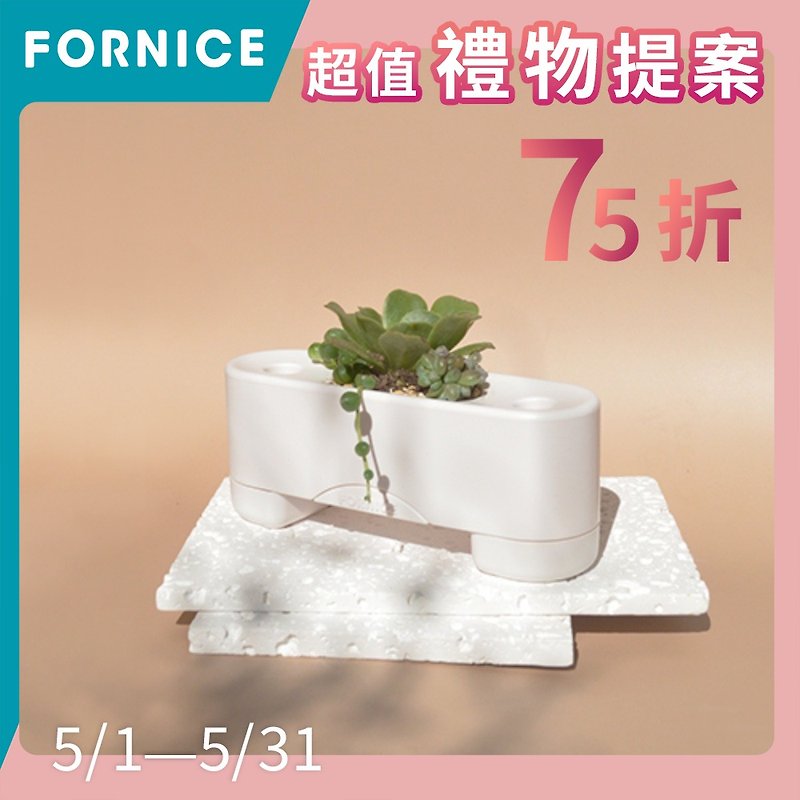 Fornice枫来诗【有栽盆一入组-雪白】 - 植栽/盆栽 - 其他材质 