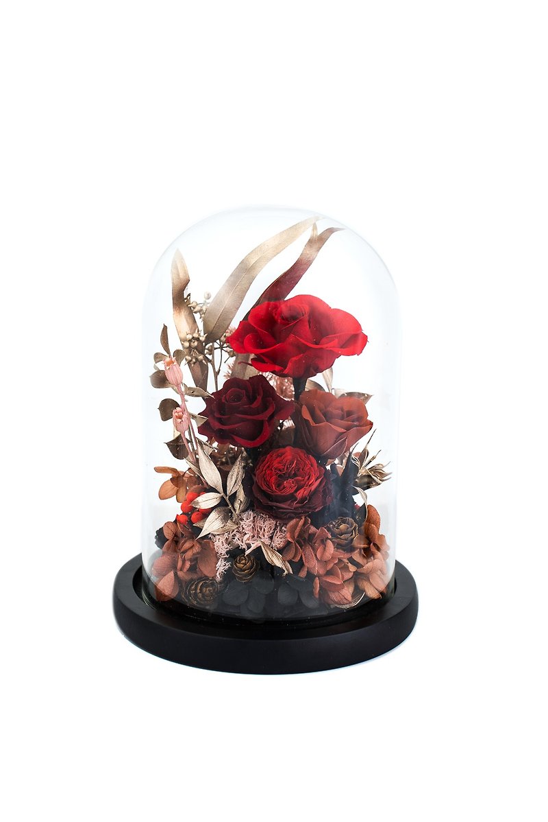 红黑永生花玻璃罩 - 干燥花/捧花 - 植物．花 红色