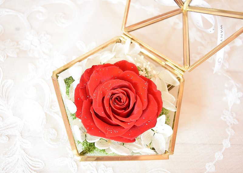 红钻石玫瑰 玻璃宝盒  永生花/情人节/求婚/纪念日/婚礼布置 - 植栽/盆栽 - 植物．花 红色
