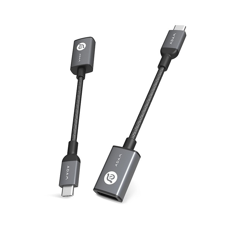 ADAM 亚果元素 F13 USB-C to USB3.1 转接线 - 充电宝/传输线 - 其他金属 灰色