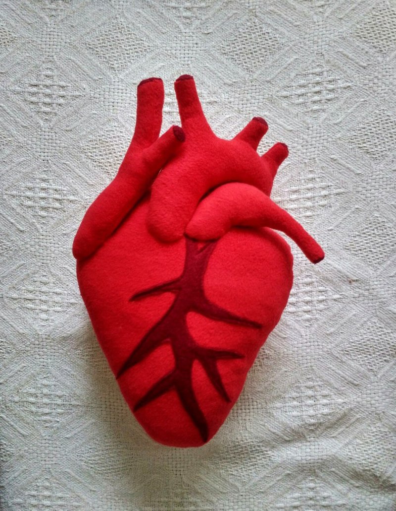 Anatomical heart pillow plush - Cardiology - Plush heart pillow - 13,8inch - 枕头/抱枕 - 其他材质 红色