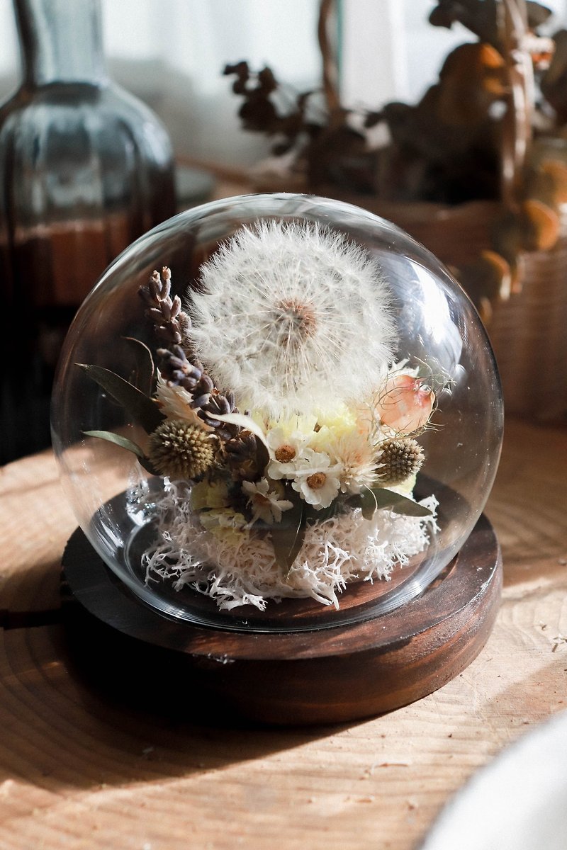 | 定制化礼物 | - 来自远方 - 蒲公英 永生玻璃球 - 干燥花/捧花 - 植物．花 咖啡色