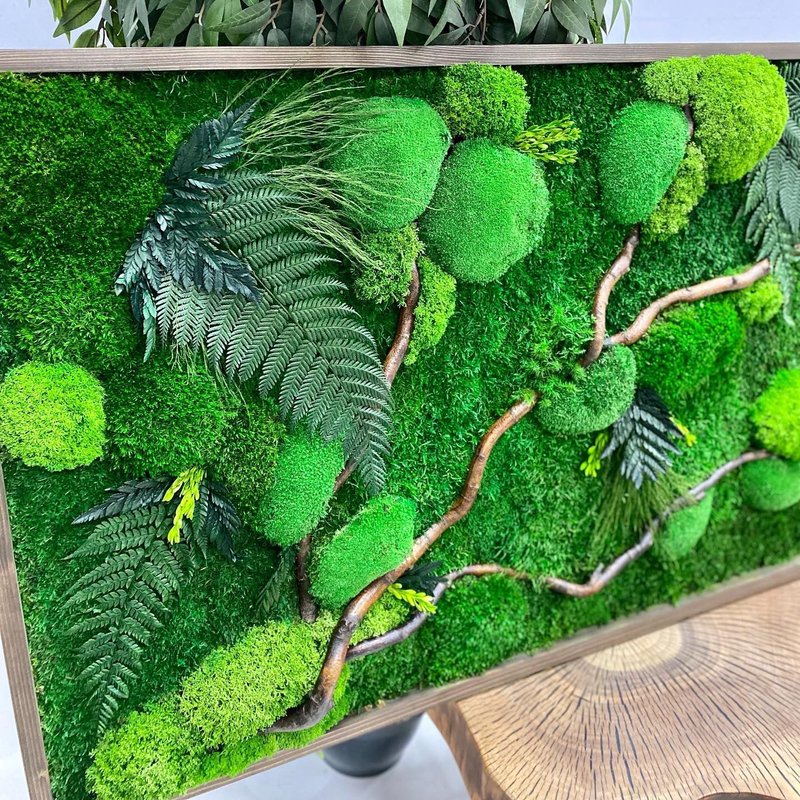 Moss picture, moss painting, moss wall decoration, green decor, eco decor - 墙贴/壁贴 - 植物．花 绿色