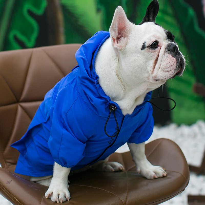 LazyEazy狗狗雨衣带帽防水冲锋衣小型犬潮牌网红猫咪泰迪宠物衣服 - 衣/帽 - 聚酯纤维 蓝色