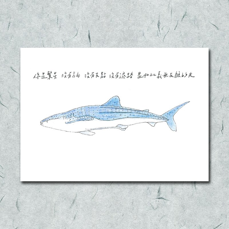 动物与它的诗28/鲸鲨/ 手绘 /卡片 明信片 - 卡片/明信片 - 纸 