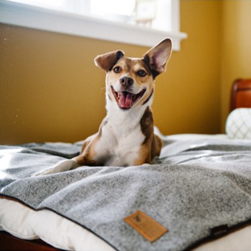 宠物床垫 不毛斜纹睡垫 猫狗使用 (3色) 可机洗 - 床垫/笼子 - 人造皮革 
