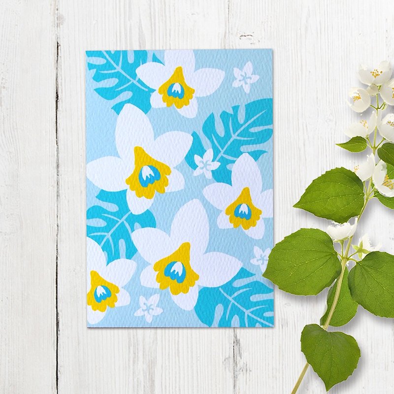 夏の白い蘭のポストカード - 卡片/明信片 - 纸 蓝色