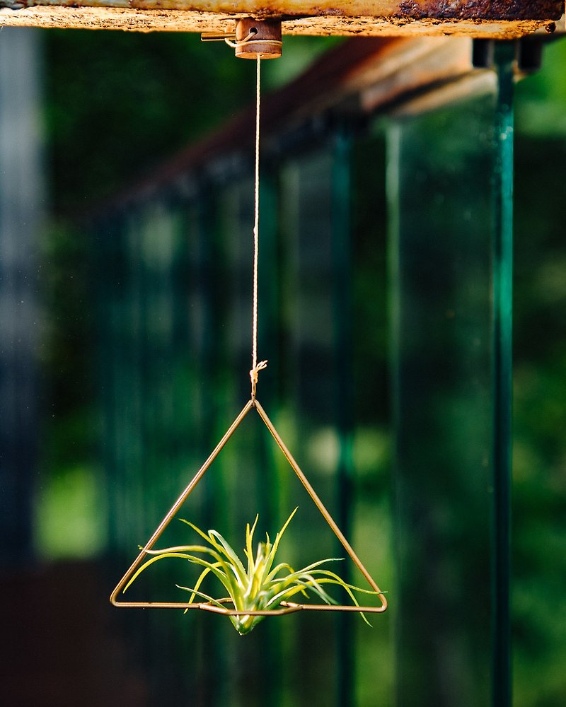 FREEDOM 植由自在 可调式磁吸植物吊架-三角 - 花瓶/陶器 - 其他金属 咖啡色