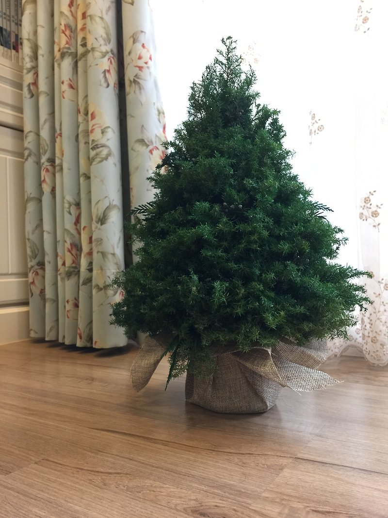 永生不凋雪松圣诞树45~50厘米含装饰 客订 - 摆饰 - 植物．花 